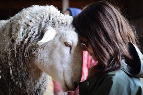 Vier het leven: offerdieren in de Bijbel