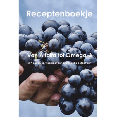 Herzien receptenboekje Vegan Church 2023