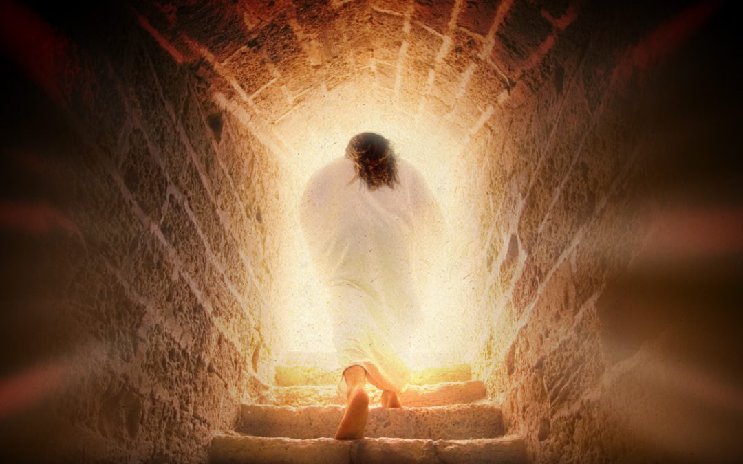 Vier het leven: ‘God heeft de wereld lief’