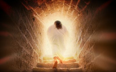 Vier het leven: ‘God heeft de wereld lief’