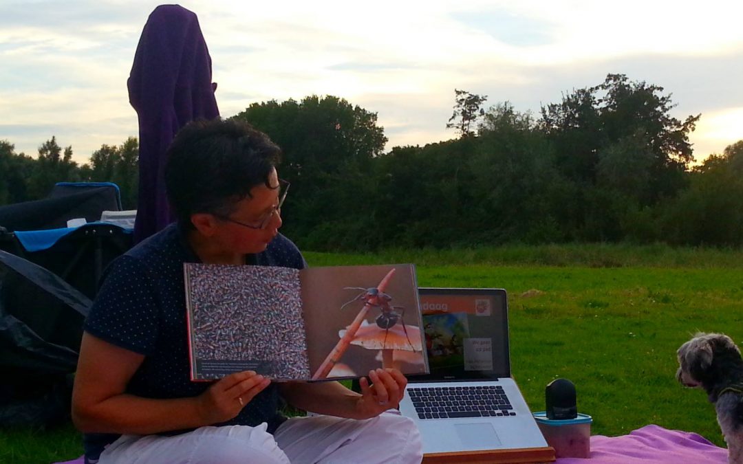 Vier het leven: ga tot de mieren, gij luiaard…