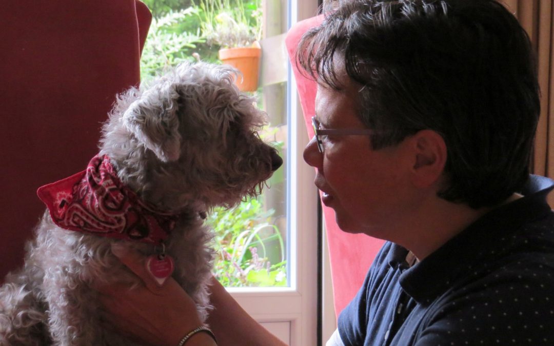 Onze eerste zegen-de-dierendag