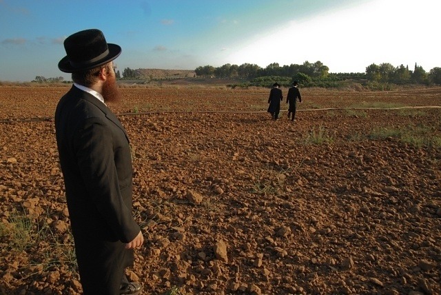 VC Theologen: de wijsheid van het sabbats- en jubeljaar