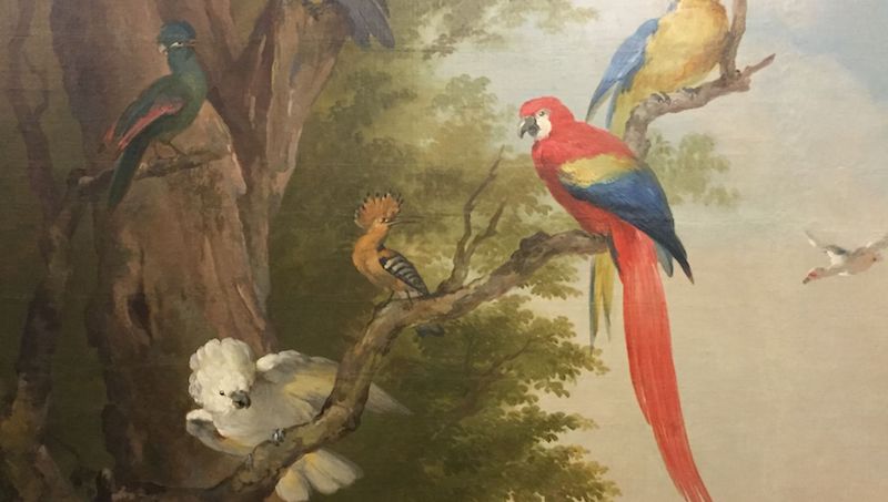 Koninklijk paradijs door Aert Schouman