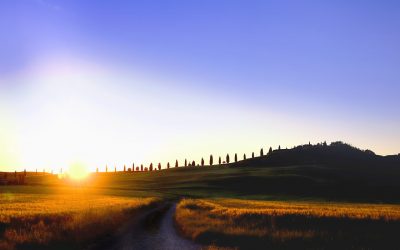 Eenzaam, maar niet somber