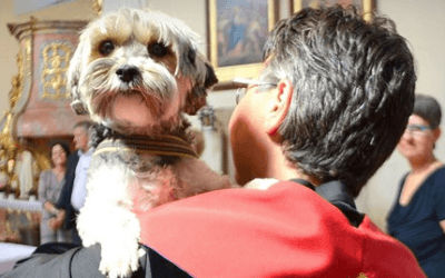 Vegan Church werkt aan mooiere wereld