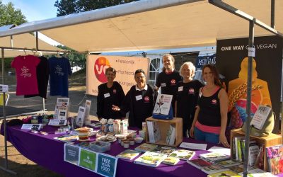 Het Gracelandfestival: wat een feest!