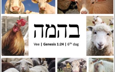 Zegen voor mens en dier